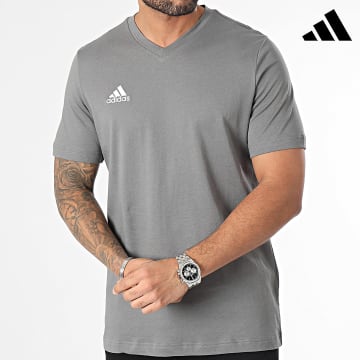 Adidas Performance - Camiseta cuello pico Ent22 HC0449 Gris