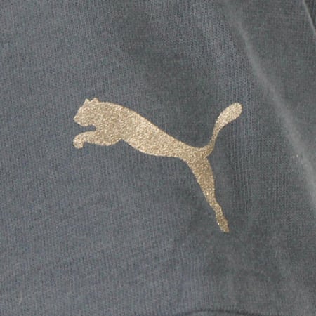 Puma sales ferrari marine