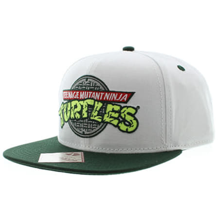 tortue ninja vans tortue ninja vans