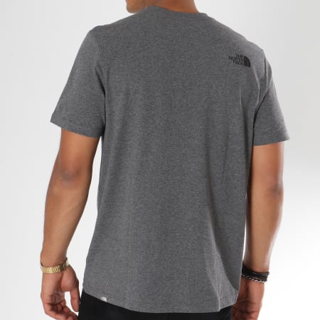 The North Face - Tee Shirt Easy Gris