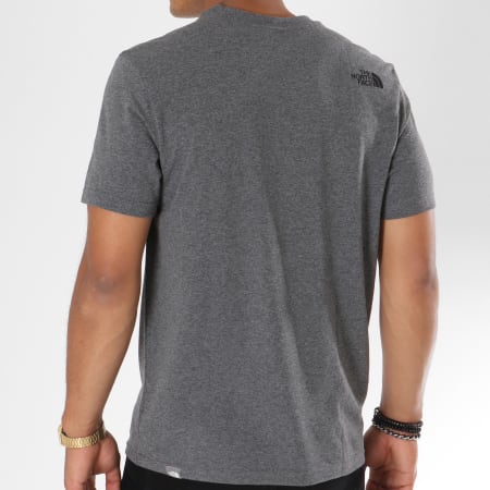 The North Face - Tee Shirt Simple Dome Gris Anthracite