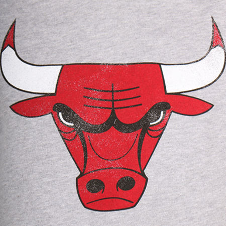 '47 Brand - Sweat Capuche NBA Chicago Bulls 307109 Gris Clair Chiné
