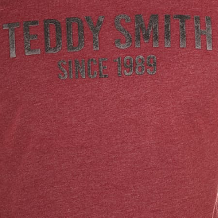 Teddy Smith - Tee Shirt Tristan Bordeaux Chiné