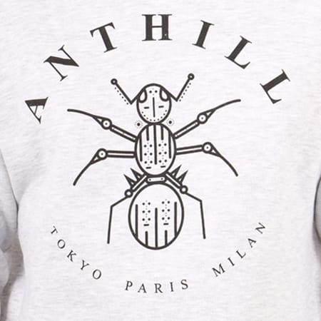 Anthill - Sweat Capuche Logo Gris Chiné