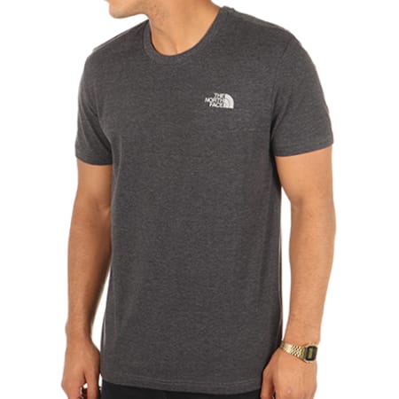 The North Face - Tee Shirt Simple Dome Gris Anthracite 