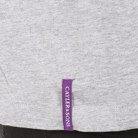Cayler And Sons - Tee Shirt Manches Longues Purple Swag Gris Chiné