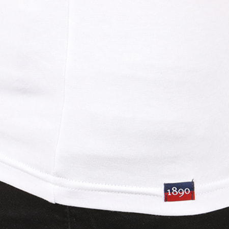 US Polo ASSN - Tee Shirt USPA Flag Crewneck Blanc