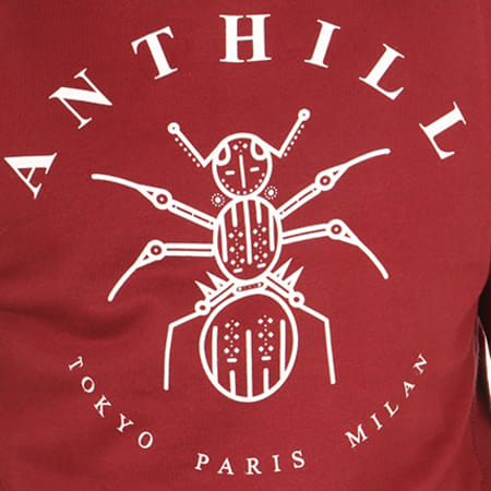 Anthill - Sweat Capuche Logo Bordeaux