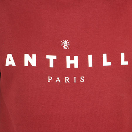 Anthill - Sweat Capuche Typo Bordeaux