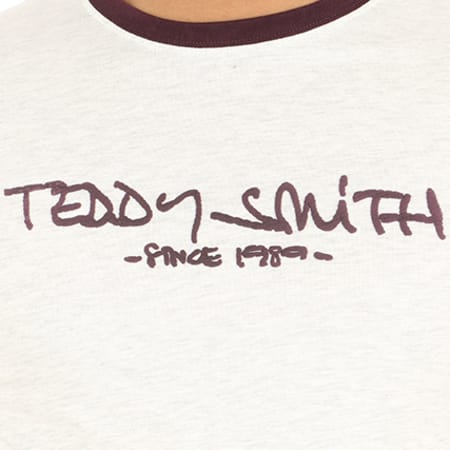 Teddy Smith - Tee Shirt Ticlass 3 Gris Chiné Bordeaux