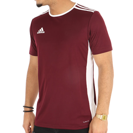 Adidas Sportswear - Tee Shirt De Sport Entrada 18 Jersey CD8430 Bordeaux