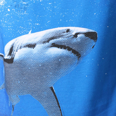 Pullin - Tee Shirt Sharky Blanc Bleu Clair 