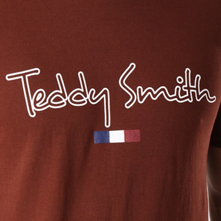 Teddy Smith - Tee Shirt Teven Marron