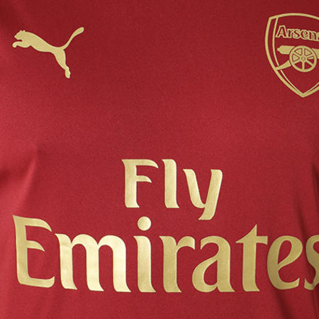 Puma - Tee Shirt De Sport FC Arsenal Training Jersey 753265 03 Bordeaux Doré