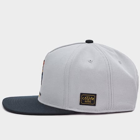 Cayler And Sons - Casquette Snapback Controlla Gris Bleu Marine