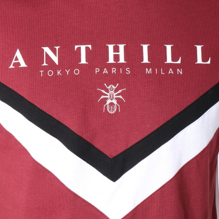Anthill - Tee Shirt Chevron Avec Bandes Bordeaux