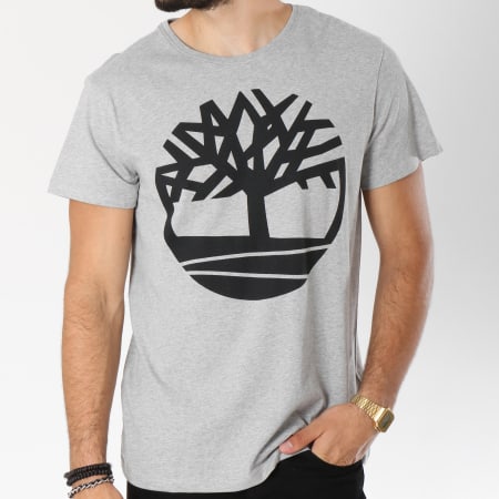 Timberland - Tee Shirt Seasonal Logo A1N8Y Gris Chiné