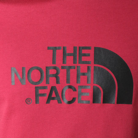 The North Face - Tee Shirt Raglan Easy Bordeaux Noir