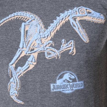 Jurassic Park - Tee Shirt 1293 Gris Chiné