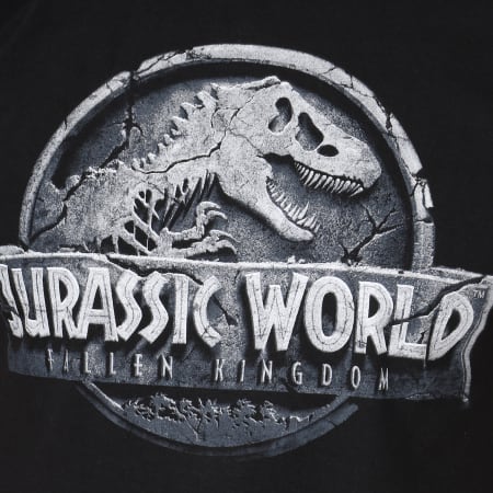 Jurassic Park - Tee Shirt Cracked Logo Noir