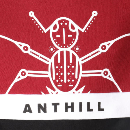 Anthill - Sweat Capuche Structure Noir Bordeaux