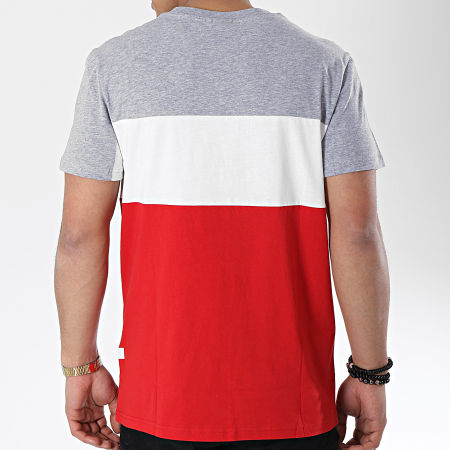 G-Star - Tee Shirt Graphic 41 D12408-336 Rouge Gris Chiné