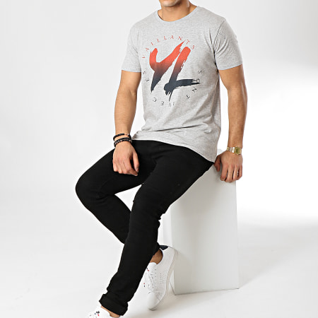 YL - Tee Shirt Logo Gris Chiné