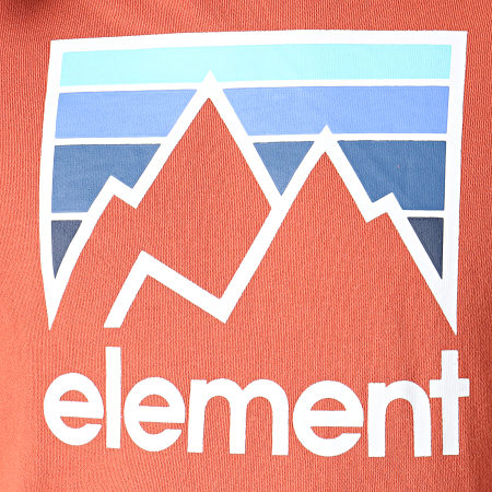 Element - Sweat Capuche Joint Orange Brique