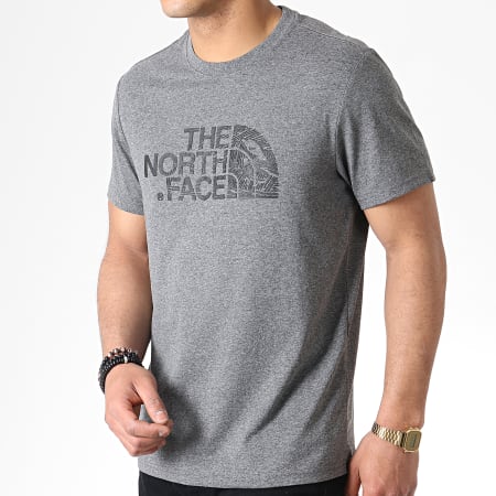 The North Face - Tee Shirt Woodcut A3G1 Gris Chiné 