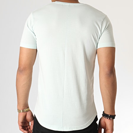 Classic Series - Tee Shirt Oversize 769 Vert Menthe