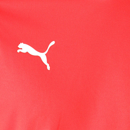 Puma - Tee Shirt Manches Longues A Bandes LIGA 703419 Rouge