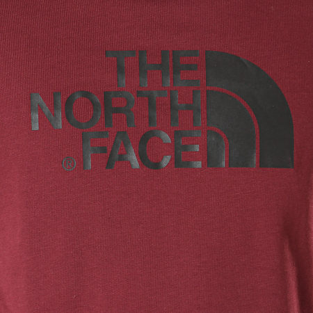 The North Face - Tee Shirt Raglan Easy 37FV Bordeaux Noir