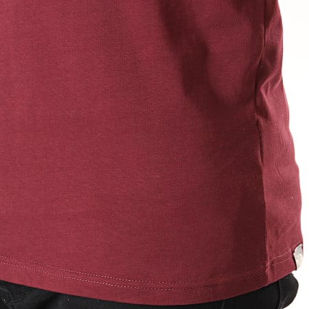 The North Face - Tee Shirt Raglan Easy 37FV Bordeaux Noir