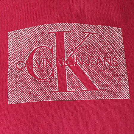 Calvin Klein - Sweat Capuche Crop Femme Distressed Monogram 2247 Bordeaux