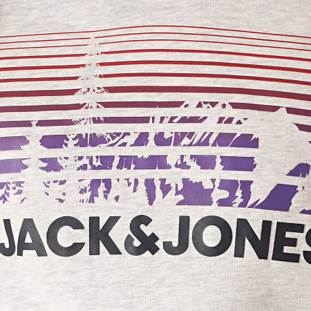 Jack And Jones - Sweat Capuche Nashville Gris Chiné
