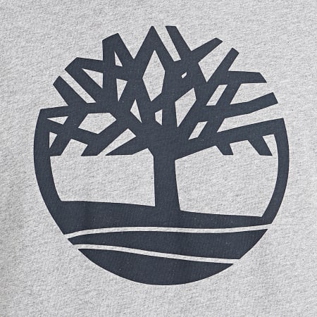 Timberland - Tee Shirt Kennebec River Brand Tree A2CGA Gris Chiné