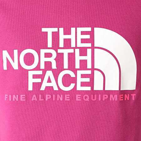 The North Face - Tee Shirt Fine Alp 2 A4M6N Violet