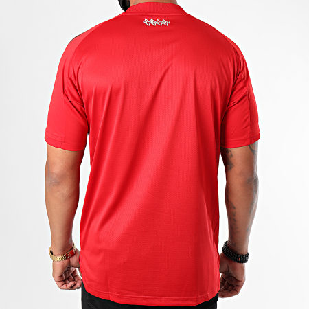 Adidas Performance - Tee Shirt De Sport FC Bayern München FR5368 Rouge