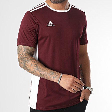Adidas Sportswear - Tee Shirt A Bandes Entrada 18 CD8430 Bordeaux
