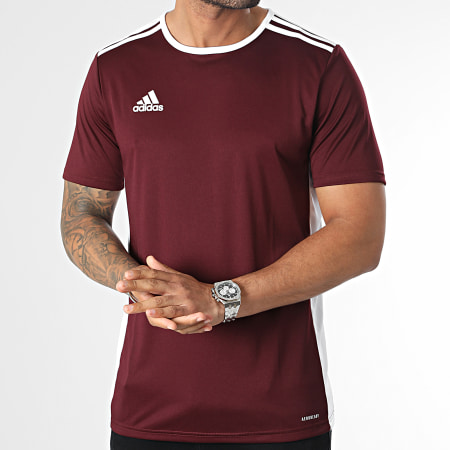 Adidas Sportswear - Tee Shirt A Bandes Entrada 18 CD8430 Bordeaux