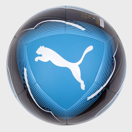 Puma - Ballon De Foot Olympique De Marseille 083392 Bleu