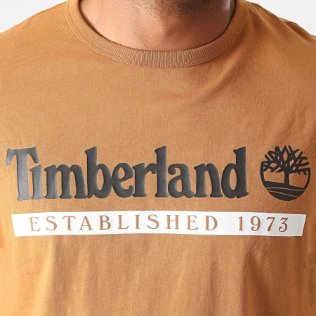 Timberland - Tee Shirt Established 1973 A2BV6 Marron