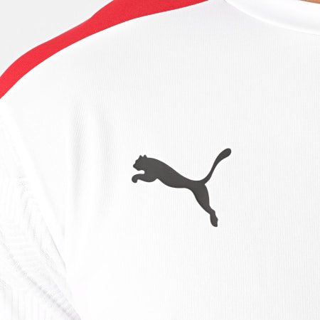 Puma - Tee Shirt De Sport AC Milan 758191 Blanc Rouge
