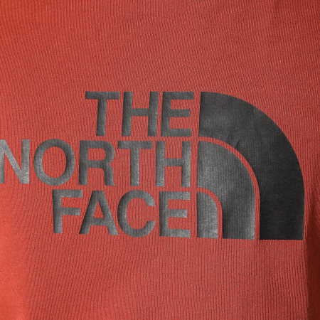 The North Face - Tee Shirt Easy TX3U Marron Brique