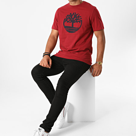 Timberland - Tee Shirt Kennebec River Brand Tree A2C2R Bordeaux