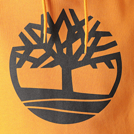 Timberland - Sweat Capuche Core Logo A2BJH Jaune