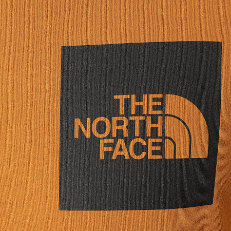 The North Face - Tee Shirt Fine Q5VC Camel