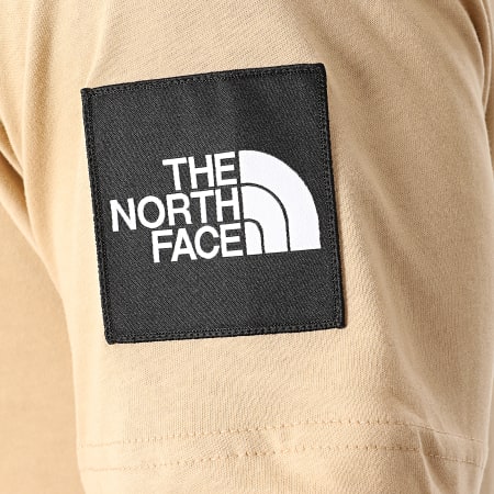 The North Face - Tee Shirt Fine Alp 2 M6NH Beige