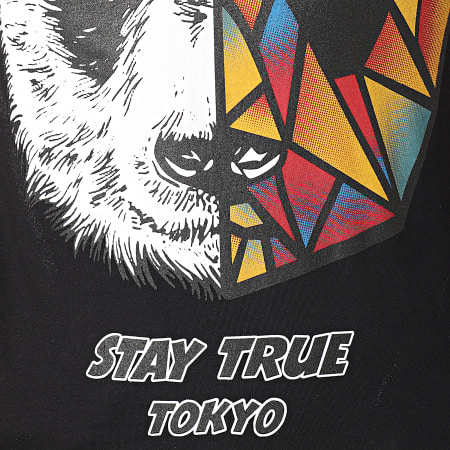 Ikao - Tee Shirt LL318 Noir