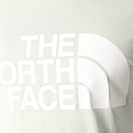 The North Face - Tee Shirt Standard A4M7X Vert Clair